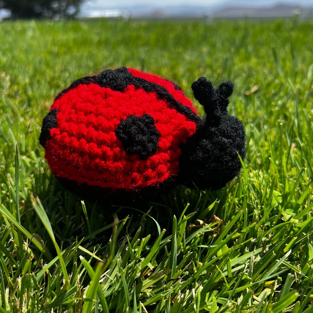 Hand Crocheted Little Ladybug Plushie Stuffed Animal! - Picture 11 of 12